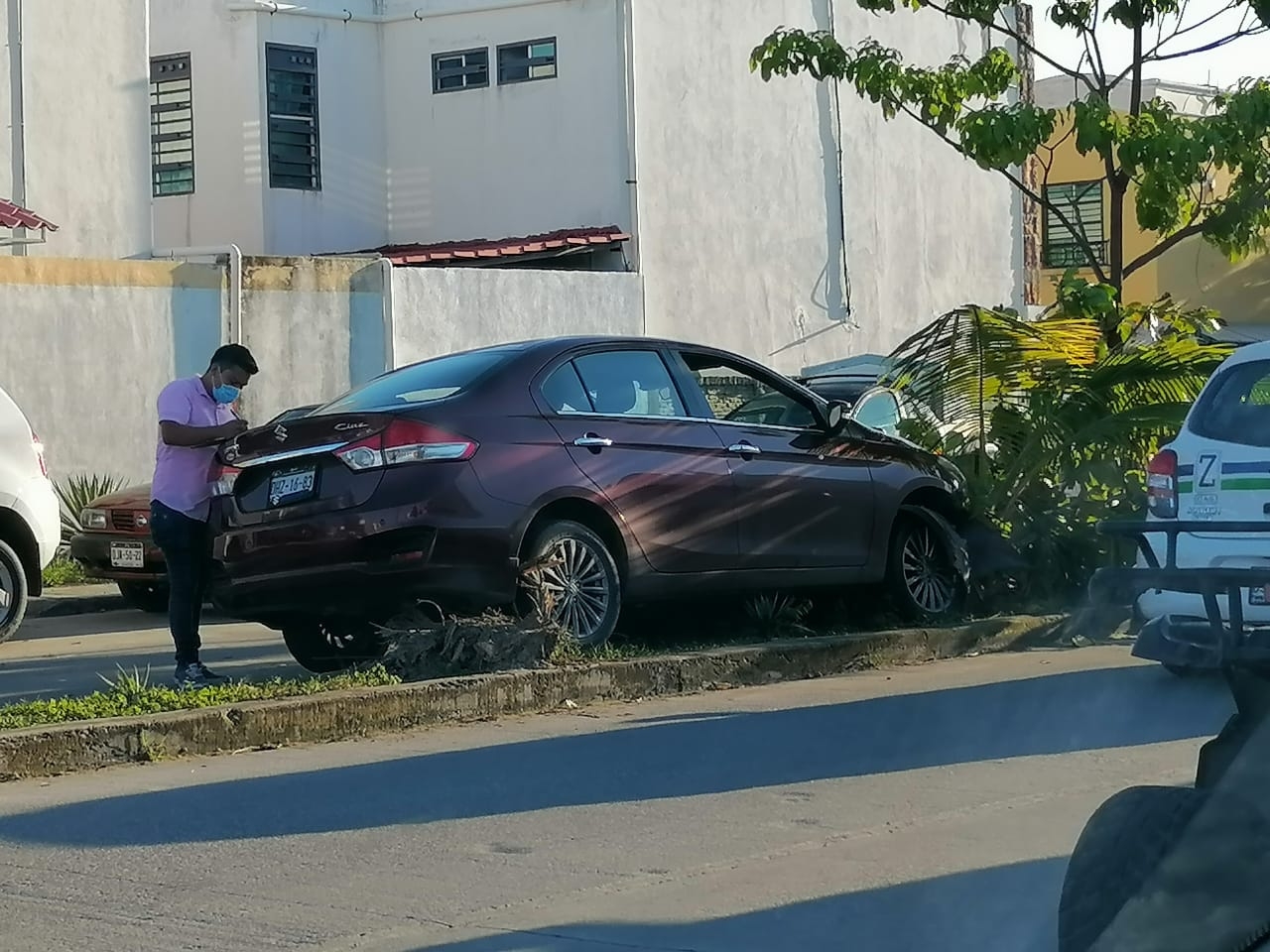 Conductor se impacta contra una palmera y la derriba en Ciudad del Carmen