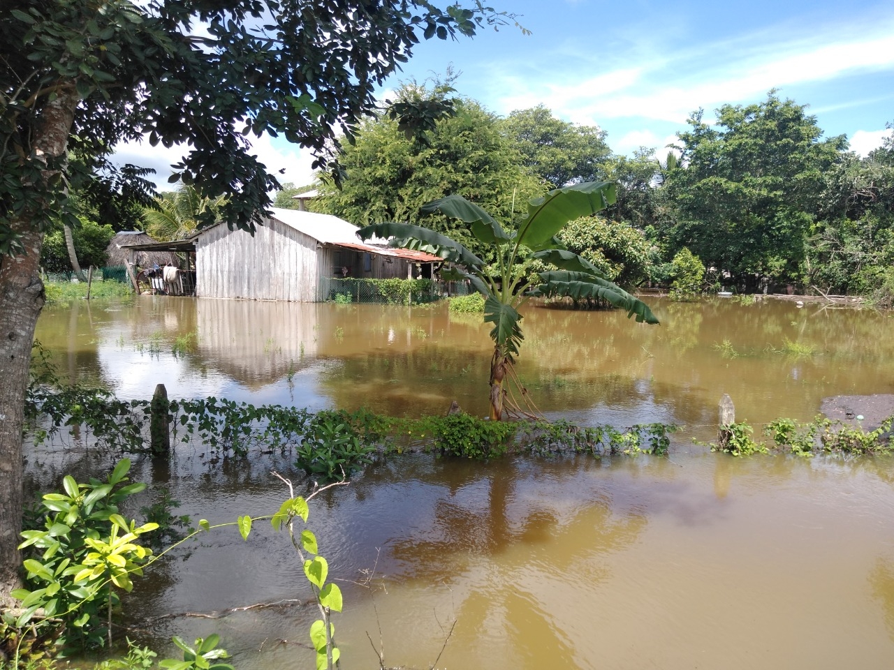 Evacúan a ocho familias tras inundaciones en Río Verde, Quintana Roo