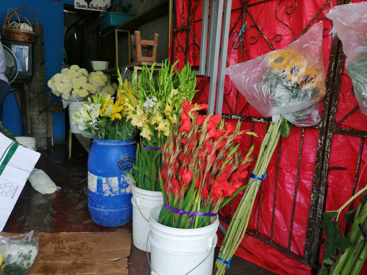 Floristas esperan repunte por Día de Muertos en Ciudad del Carmen