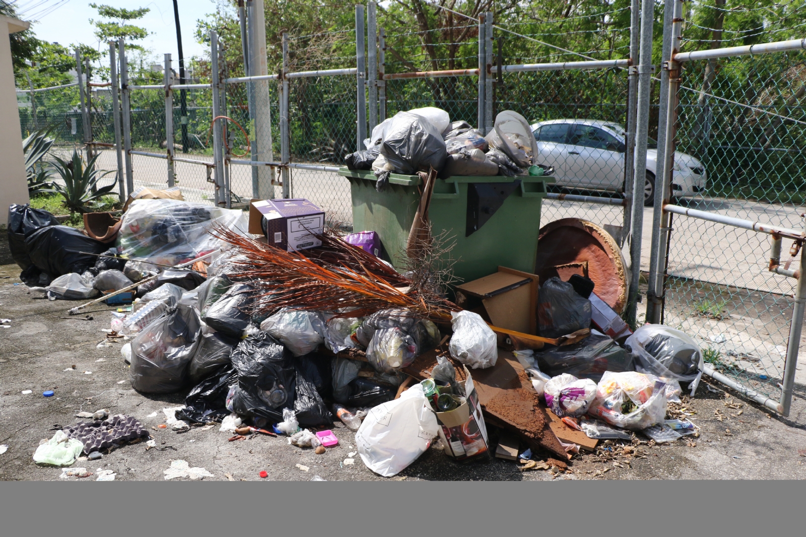 Condicionan recoja de basura en Cancún; piden hasta 20 pesos por el servicio