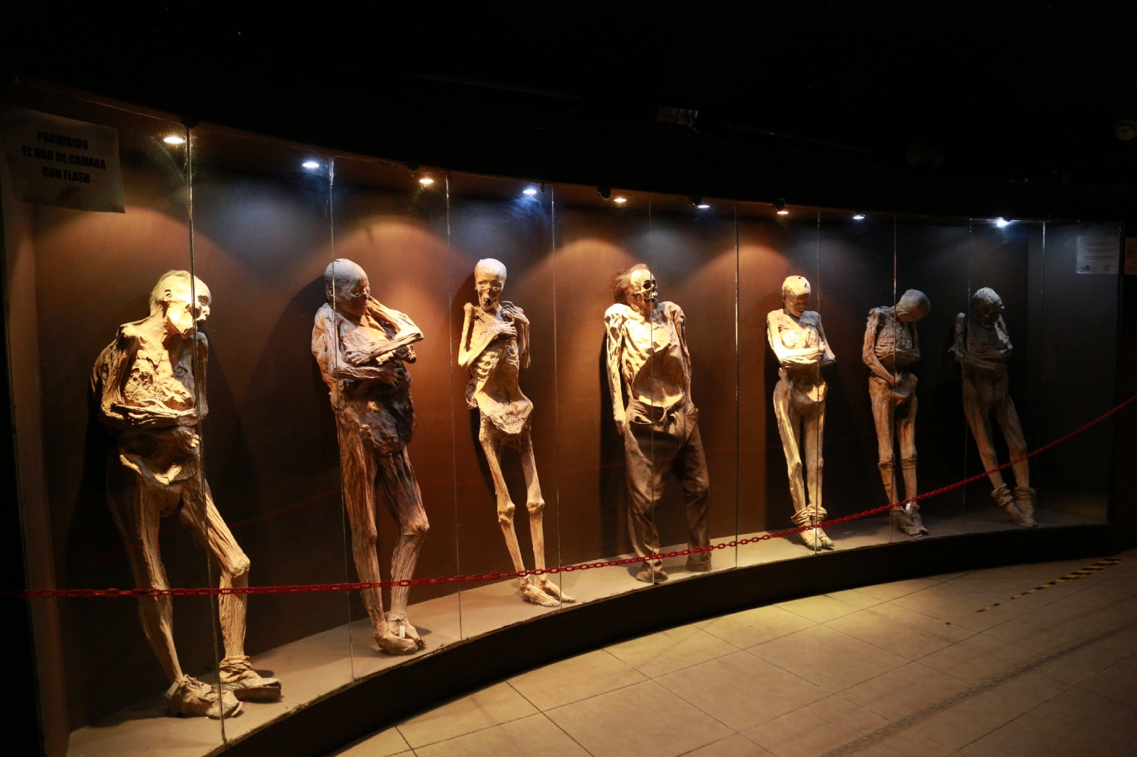 ¿Es verdad que las momias de Guanajuato son las víctimas de una antigua pandemia?