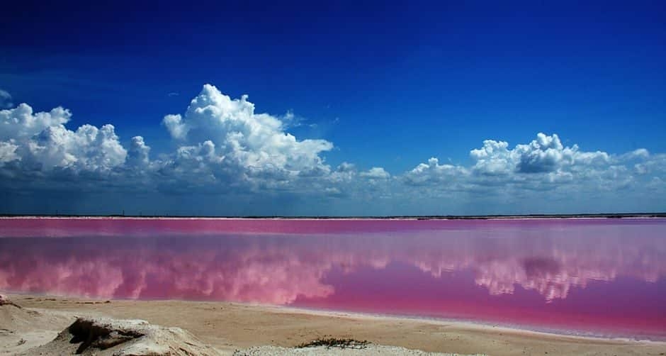El "Mar rosa" en Yucatán. Foto: Especial