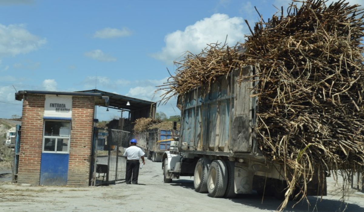 Productores de Quintana Roo definirán el pago 2020-2021 de la tonelada de caña