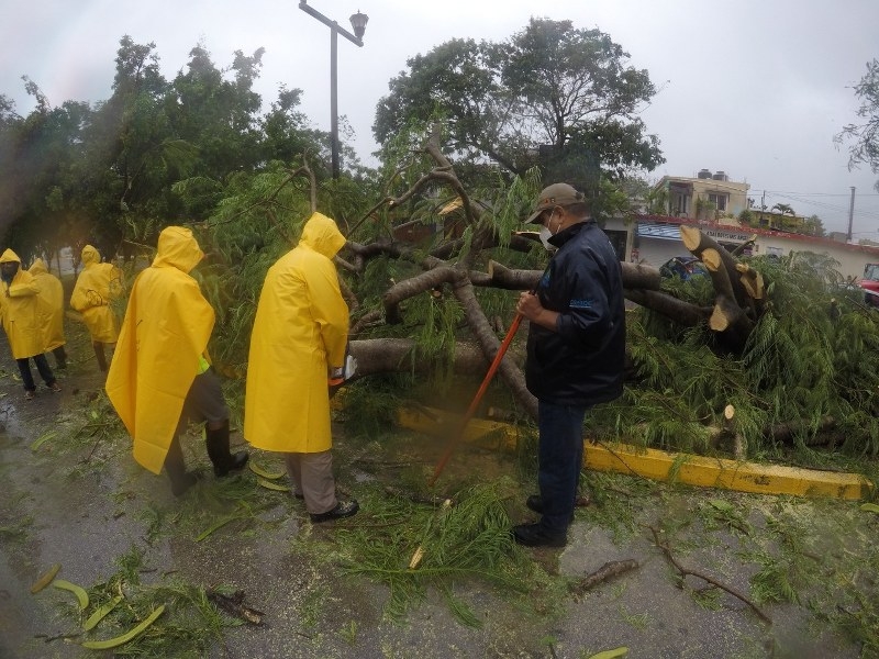 Protección Civil minimiza daños en Quintana Roo tras el paso de Gamma