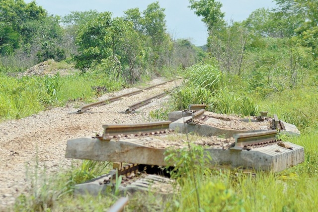 El Tren Maya no solo es un proyecto, es una realidad, aseguran. Foto: Archivo