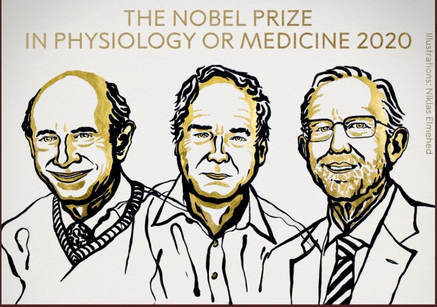 Otorgan el Premio Nobel de Medicina a investigadores del virus de hepatitis C