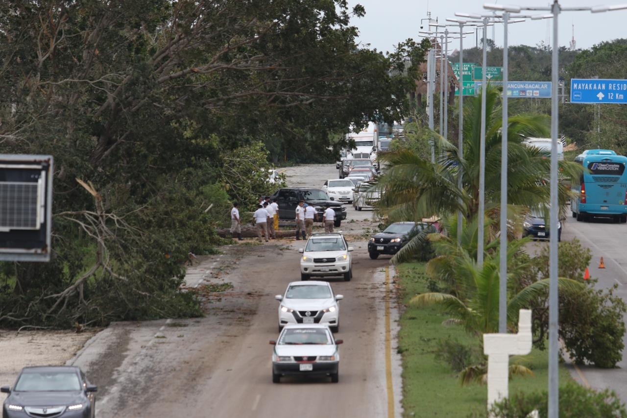 Militares limpian destrozos de Delta en la carretera Cancún-Chetumal