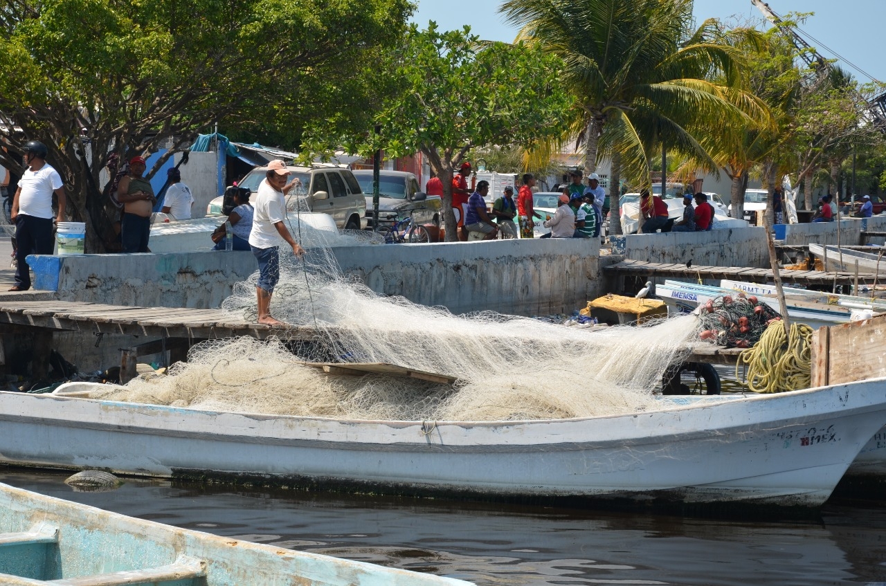 Pescadores sin recibir recursos del PACMA 2020 en Ciudad del Carmen