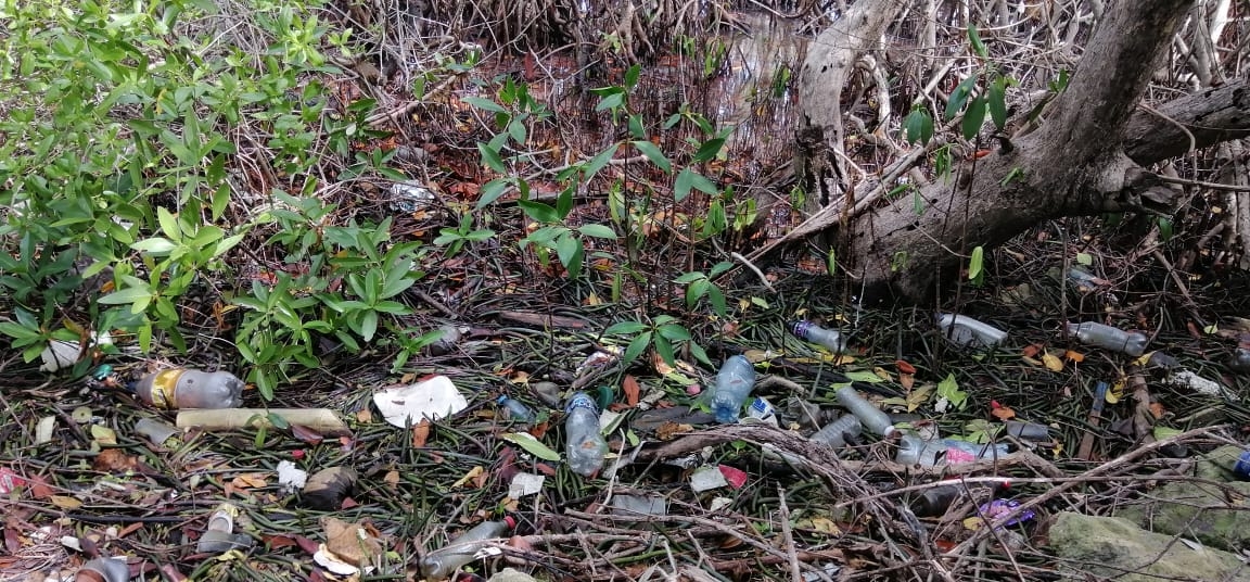 Refresquera pierde amparo y no podrá distribuir plástico en islas de Quintana Roo