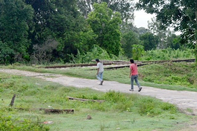 Niegan daño ambiental en zona selvática por Tren Maya en Campeche