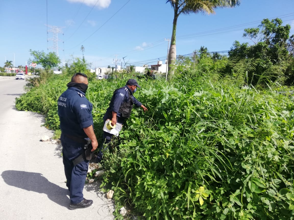 Policía monta operativo para encontrar una cabeza humana en Cancún