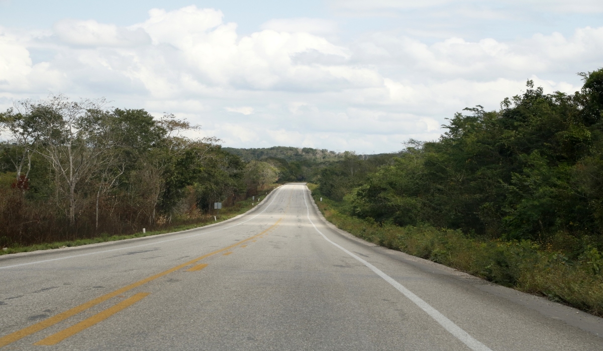 Por Tren Maya, implementarán desviaciones en 275 km de la carretera Cancún-Mérida