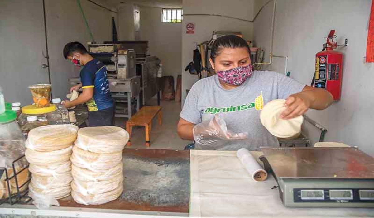 Molineros de Mérida aseguran que no subirán el precio de las tortillas
