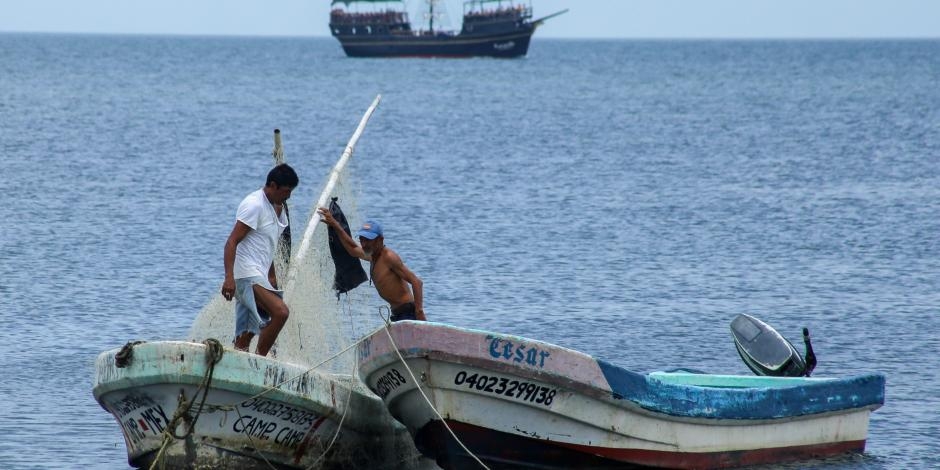 Pescadores buscan la ampliación de la temporada de captura de mero y pulpo en Yucatán