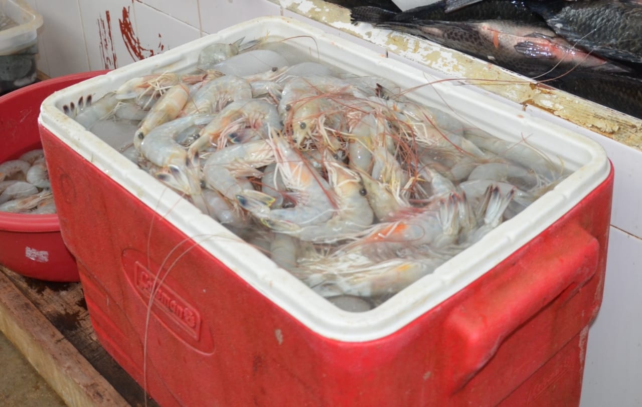 Abaratan costo del camarón a falta de mercado en Ciudad del Carmen