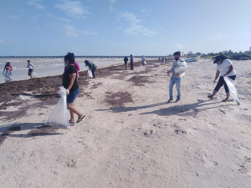 Empleados pesqueros limpian playas en Progreso