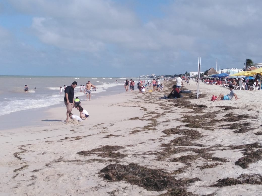 Así lucen las playas de Progreso pese a la pandemia