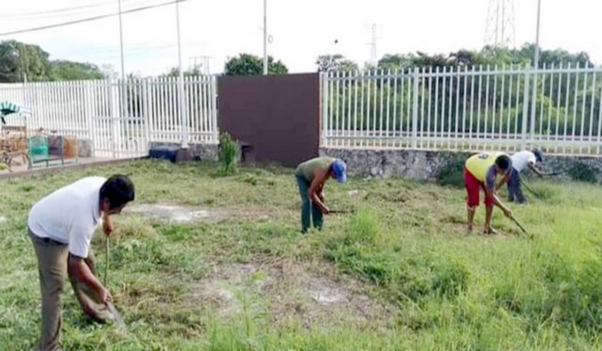 Comienza la limpieza de planteles escolares en Tenabo