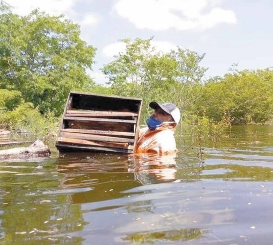 Apicultores de Sabancuy perdieron su producción anual por las inundaciones