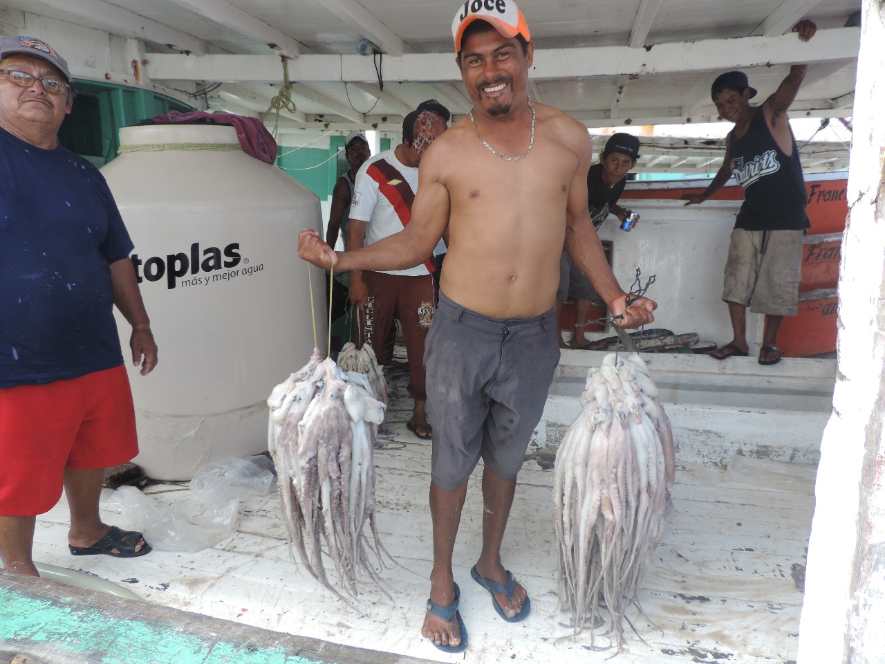 Podrán pescar pulpo durante todo diciembre en Yucatán