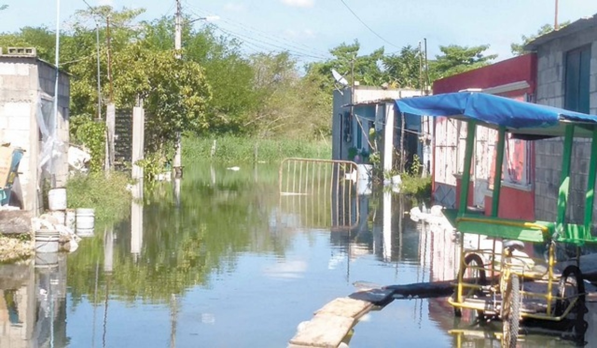 Pobladores denuncian falta de apoyo por inundaciones registradas en Palizada