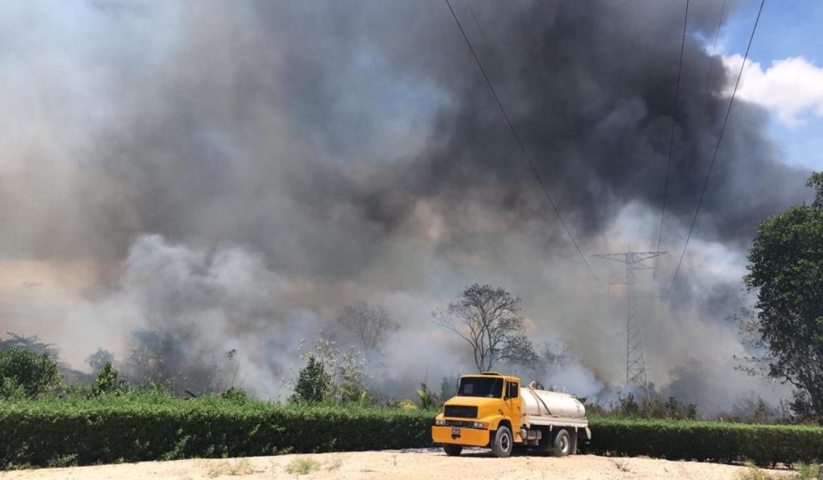 Caída de árboles por huracanes, factor detonante para incendios en Quintana Roo
