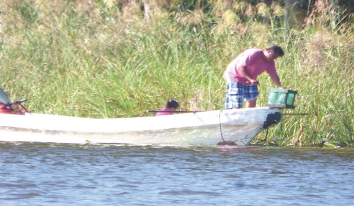 Esta actividad ha mermado la flora y fauna del Río Candelaria. Foto: Emmanuel Pérez.