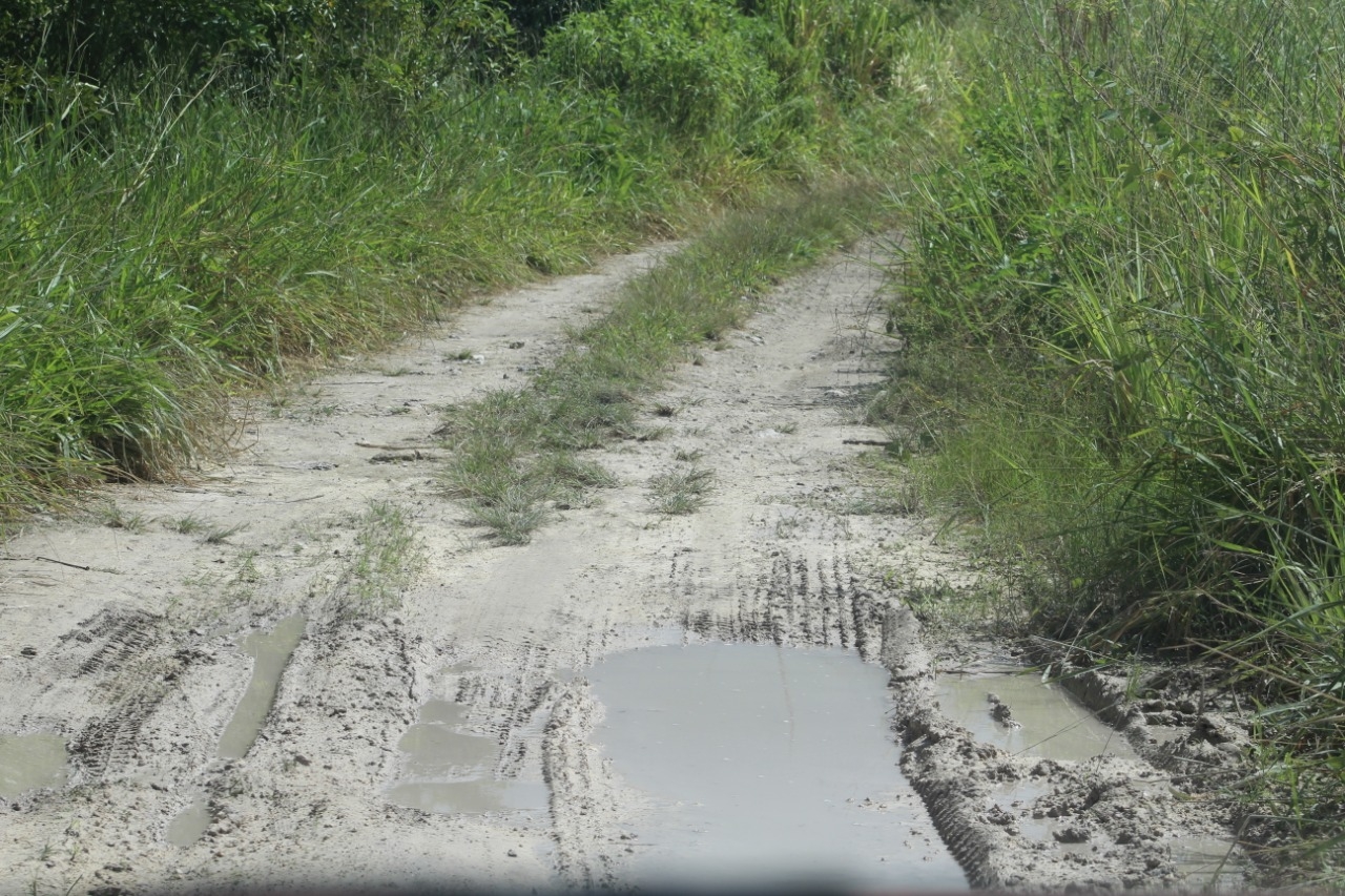 Las lluvias han afectado a varios caminos de la Ribera del Río Hondo Foto: Eric Castillo