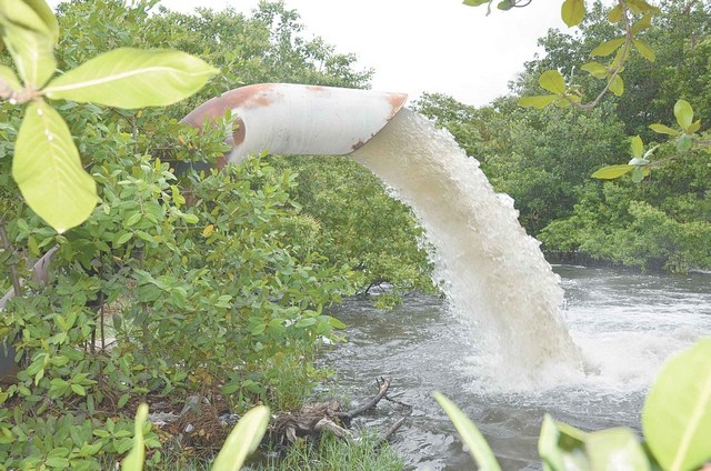 Aguas residuales contaminan Laguna de Términos en Ciudad del Carmen