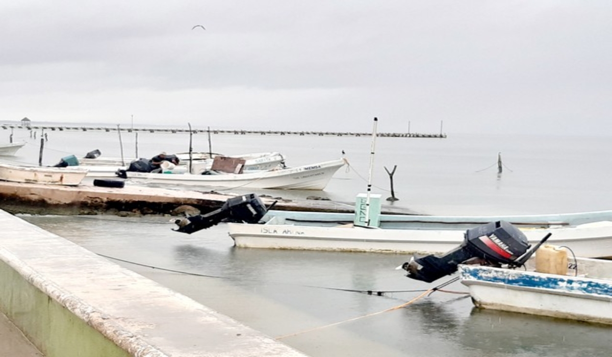 Pescadores de Isla Arena abandonan la captura de pulpo