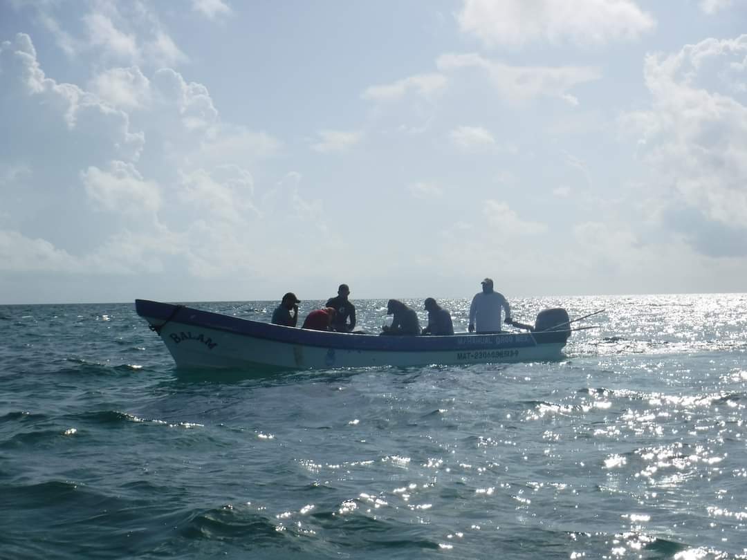 No quieren pesca furtiva de caracol rosado en Quintana Roo