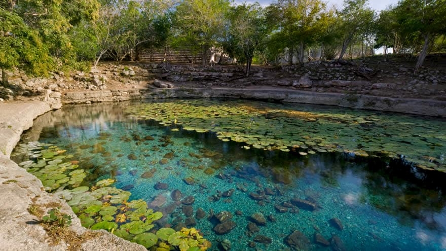Estos son los cenotes de Yucatán en alerta amarilla por contaminación
