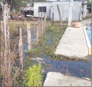 Vecinos exigen fumigación tras inundaciones en Palizada, Campeche