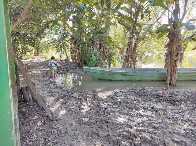 En riesgo pobladores por caminos llenos de lodo en Palizada, Campeche