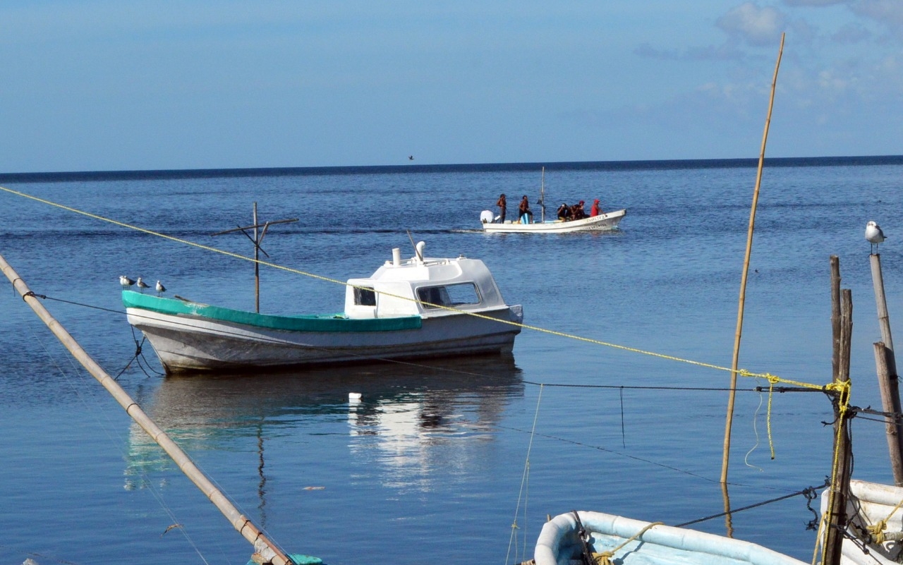 Fondo Estatal contempla un seguro para pescadores en Campeche