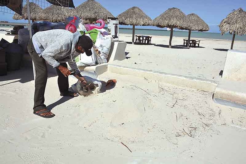 Frente Frío afecta limpieza de playas en Progreso
