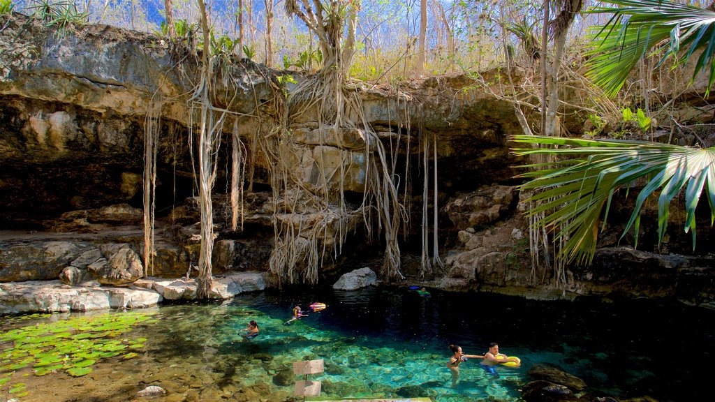 Cenote X'Batun, maravilla de una hacienda de cacao en Yucatán