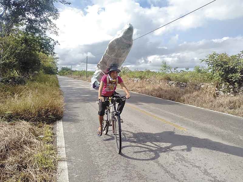 Joven viaja en bicicleta con imagen de dos metros de la Virgen de Guadalupe por Yucatán
