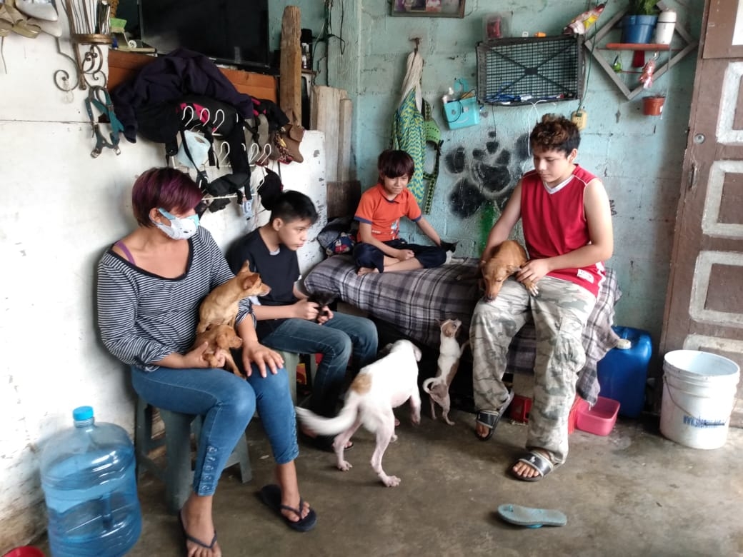 Albergue para animales asila a más de 70 mascotas en Progreso