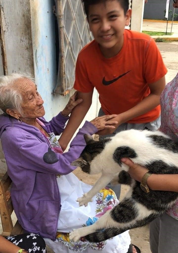 Abuelita recibe con alegría a su gatita desaparecida en Oxkutzcab