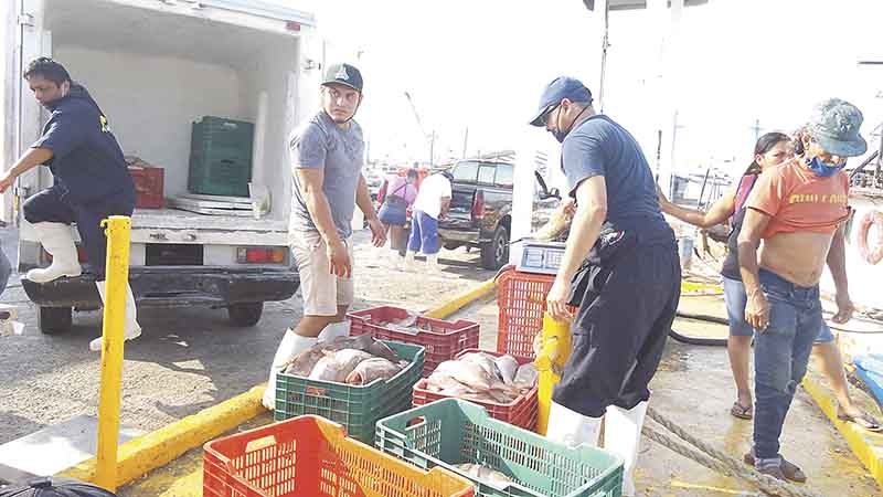 COVID-19 impacta exportaciones pesqueras en Progreso