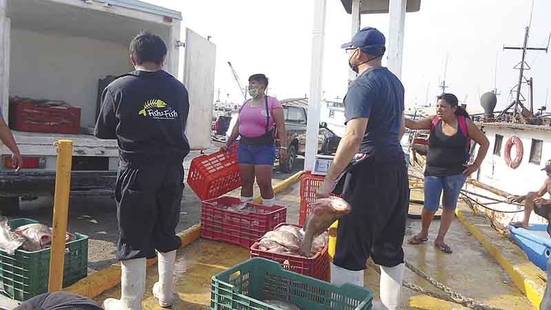 Prevén colapso del sector pesquero en Yucatán