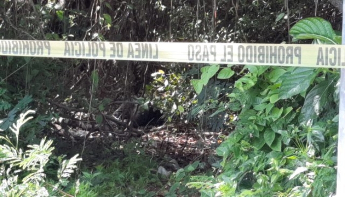 Quintana Roo registra 21 asesinatos en la primera quincena de julio