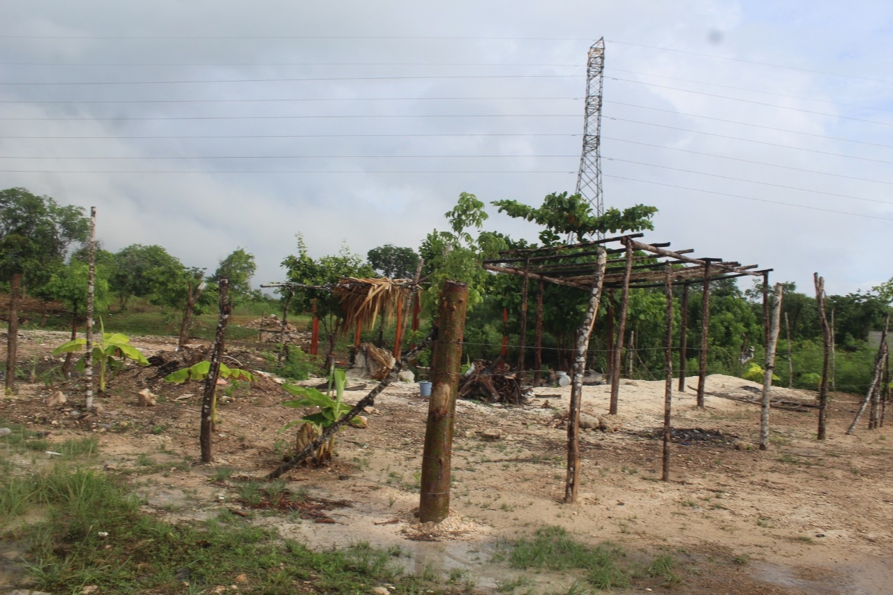 Denuncian venta de tierras ilegal en ejido de Calderitas, Quintana Roo