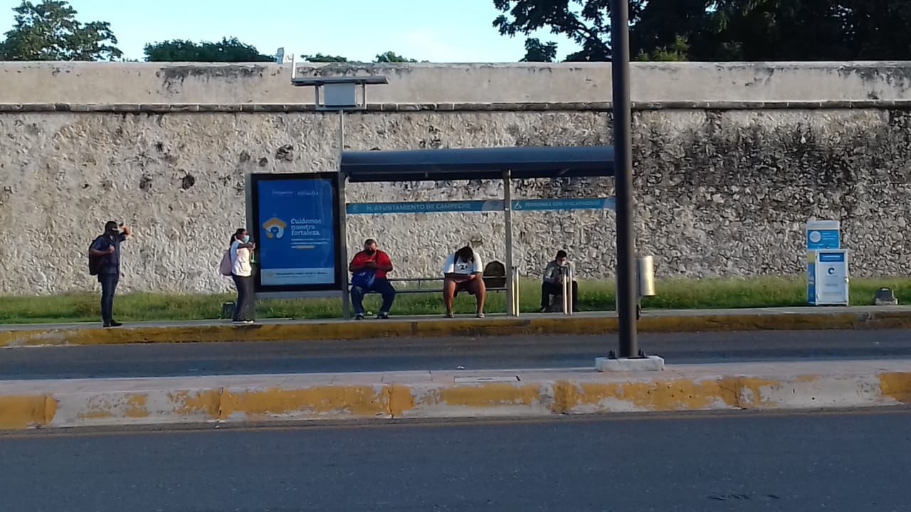 Habilitan transporte urbano gratuito en Campeche