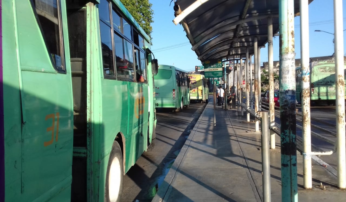 Tras paro, transportistas reanudan labores en Campeche