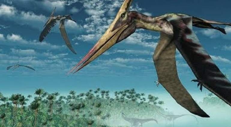 Hallan fósil de reptil desconocido en México