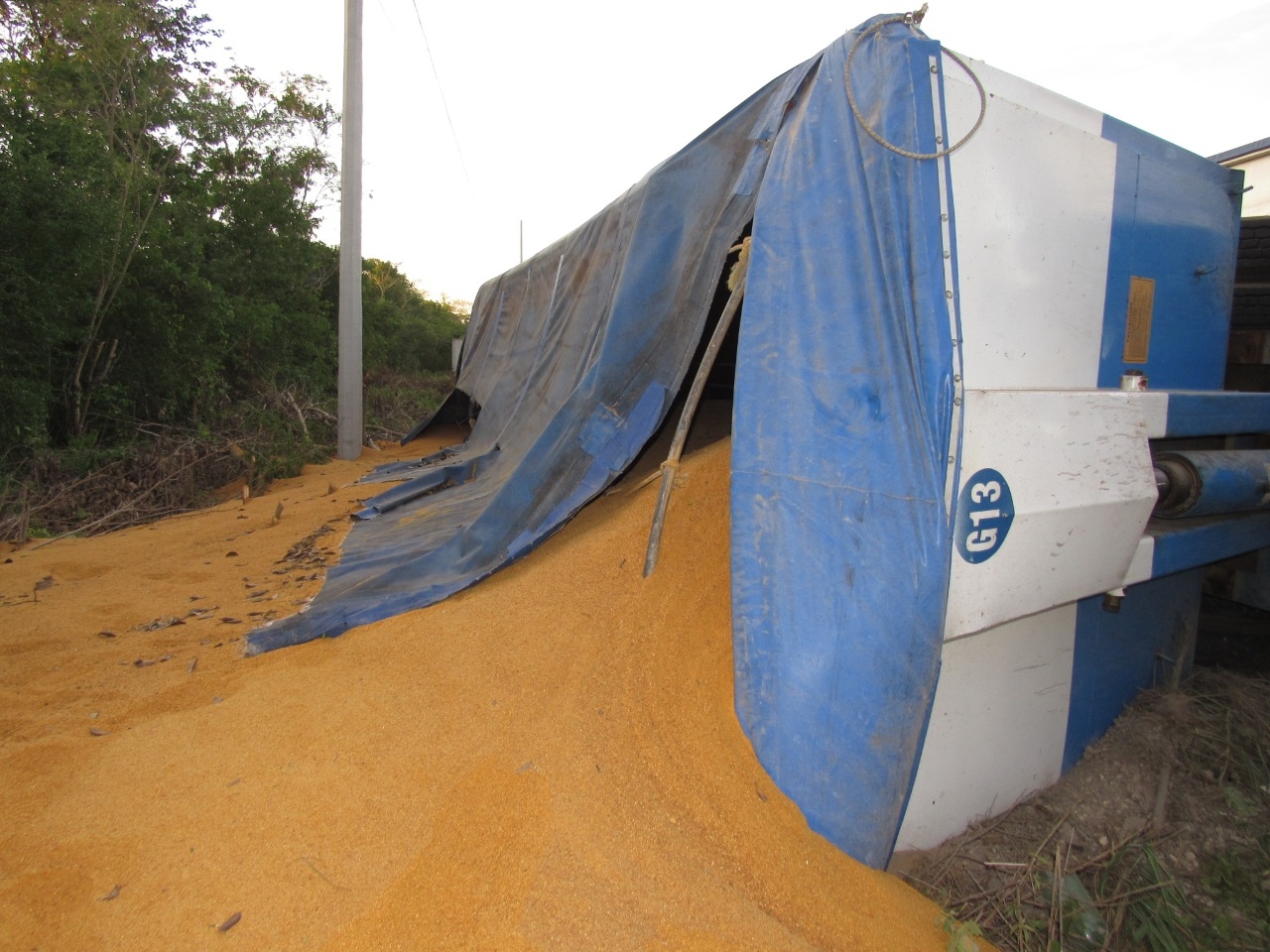 Se voltea camión con 20 toneladas de alimento en la Progreso-Mérida