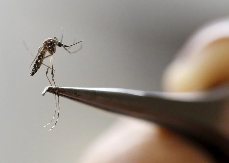 Casos de dengue en Campeche van en aumento