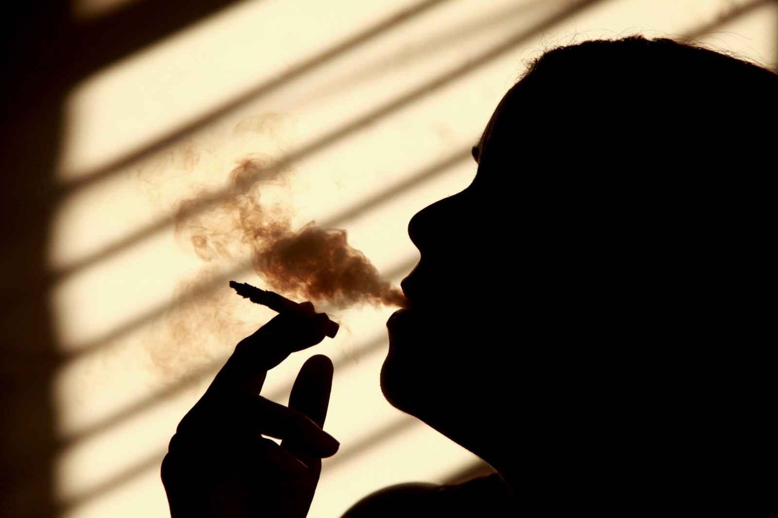 Nicotina seduce a más de 231 mil yucatecos; fuman seis cigarros al día, como mínimo